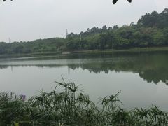 -南国桃园旅游度假区