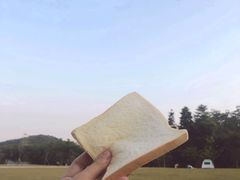 -大屏嶂森林公园