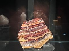 -中国地质博物馆