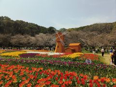 -苏州上方山国家森林公园