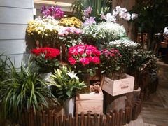android_upload_pic-春暖花开(西溪店)