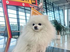 -常州奔牛国际机场