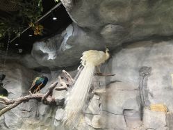 -Zoolung Zoolung动物主题公园(海信广场店)