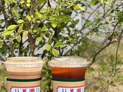 -荔園 LaiYuen