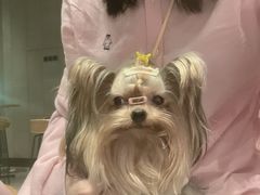 -创凡宠物医院·骨专科  猫科中心(西乡分院)
