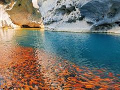 -楠溪江风景名胜区