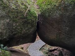 -大围山国家森林公园