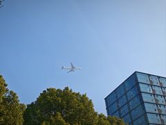 -南翔镇银翔湖公园