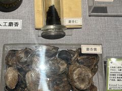-北京中医药大学-中医药博物馆