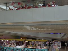 -阳光天地
