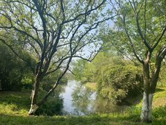 -西溪国家湿地公园