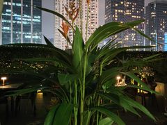 -广州文华东方酒店·悦铂尼西餐厅