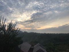 -寂寞的豆芽(龙泽路店)