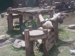 -沈阳森林动物园