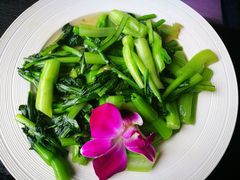 -大理岛·精品云南菜·音乐餐厅