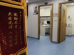 -博特宠物医院24h犬猫全科.骨科·异宠