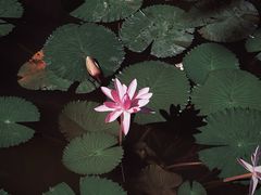 -云溪植物园