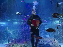 -沈阳海洋探索中心