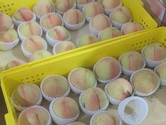 -老袁家蜜桃农场·阳山水蜜桃