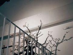 -boundaries籬苑(瑞光创意工厂-贰号院店)