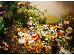 -济州岛泰迪熊博物馆