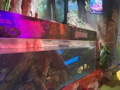 -梦幻海洋王国(吾悦广场张家港店)