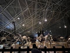 -世界恐龙谷景区