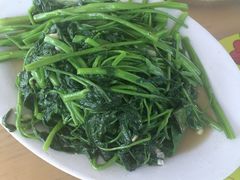 -罗浮山·罗园农庄