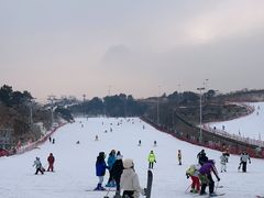 -蓟洲国际滑雪场