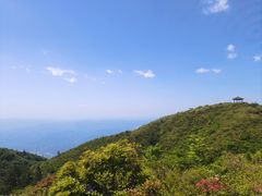 -大围山国家森林公园