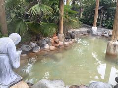 -金凤凰温泉度假村·凤凰汇中餐厅