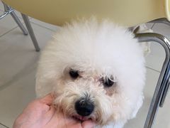 -怪兽屋·羊驼·猫咖·狗咖(俊华广场店)