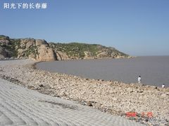 -洋山深水港