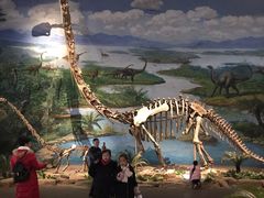 -自贡恐龙博物馆