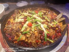 -老板恋上鱼(恒隆广场店)