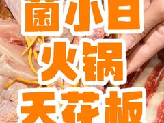 -菌小白·野生菌火锅(时尚天河店)
