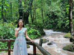 -莫里热带雨林景区