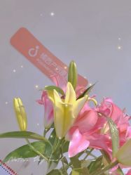 -橘西产后康复中心