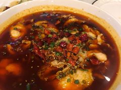 吉品水煮鱼-吉品系中餐厅(歌斐中心店)