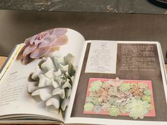 -二酉书店TOYOU BOOKS