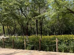 -青藏高原野生动物园