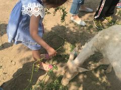 -北京麋鹿生态实验中心