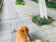 -受气牛肉·耙牛肉火锅(水晶郦城店)