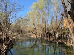 -济南野生动物世界