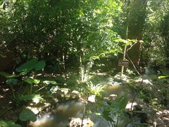 -海南槟榔谷黎苗文化旅游区