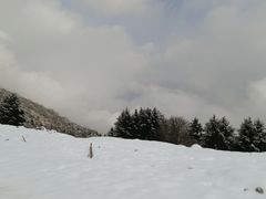 -太子岭滑雪场