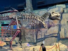 -南京银杏湖乐园