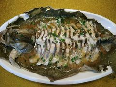 -呼吸森林·生态农庄农家乐私房菜