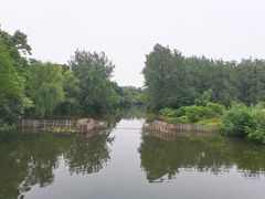 -溱湖国家湿地公园