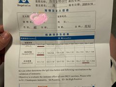 -萌兽医馆·宠物医院·猫骨科(创景店)